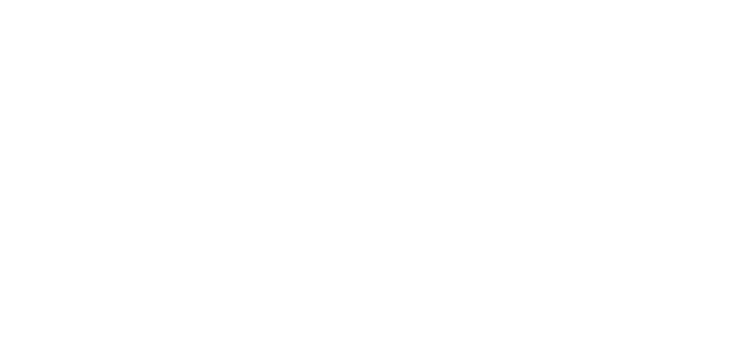 ElevenLabs iWander